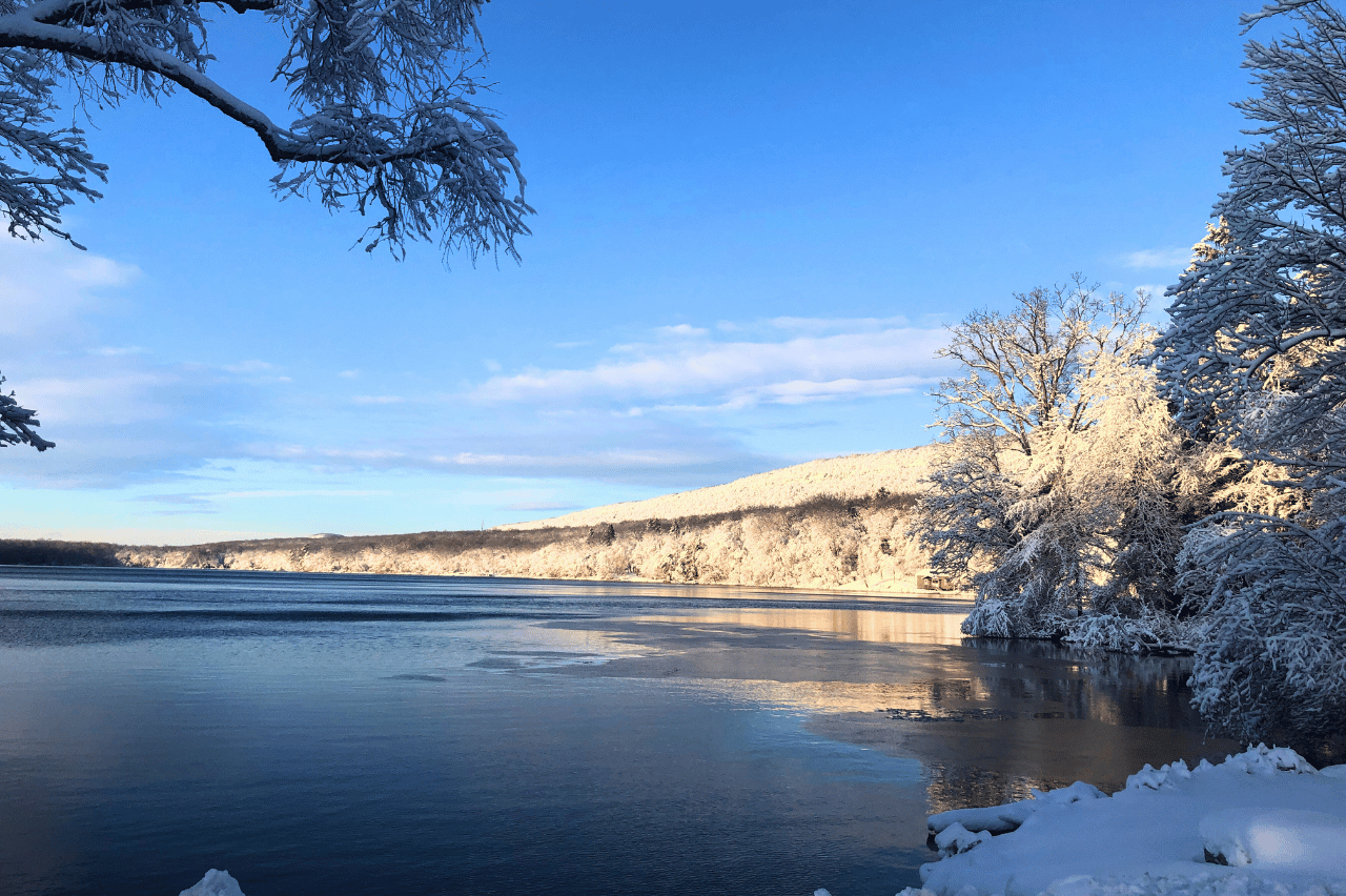 lake view in winter