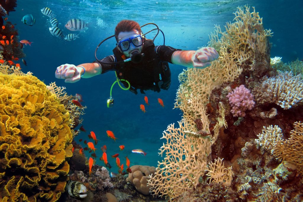 Snorkeling in Belize