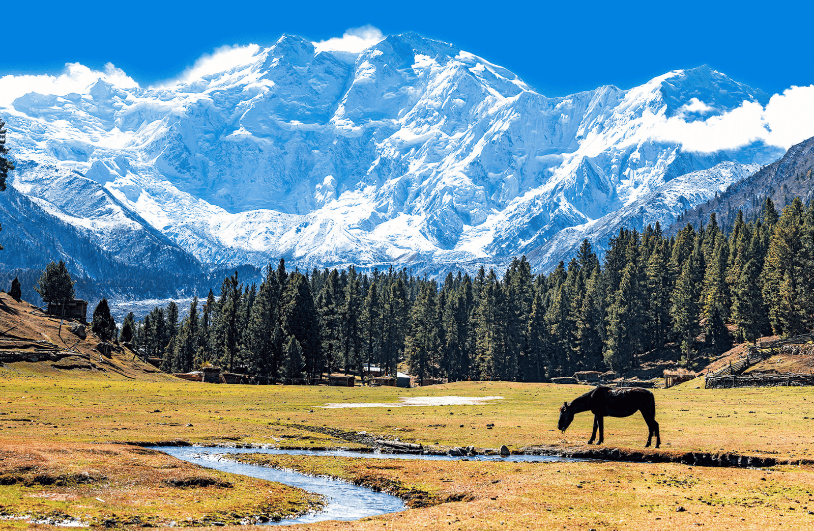 Pakistan