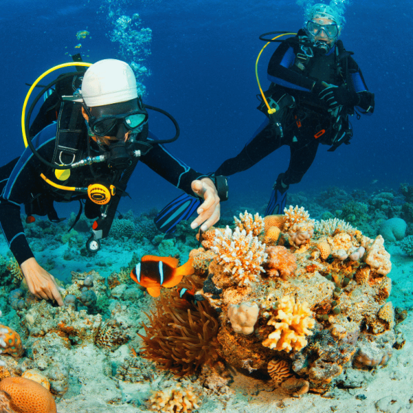 Scuba Diving In Belize