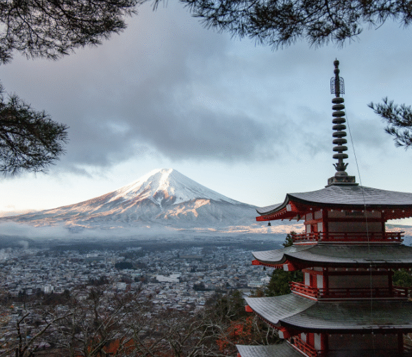 Travel Japan - 2025 (13 Days & 12 Nights)