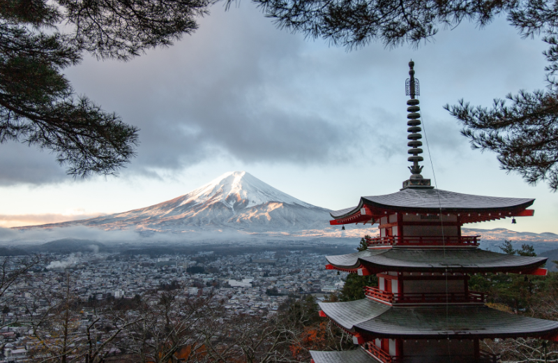Travel Japan - 2025 (13 Days & 12 Nights)